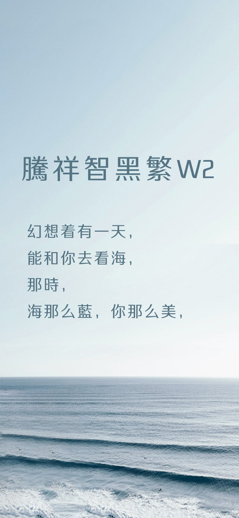腾祥智黑繁W2 screenshot