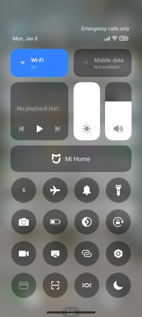 Dandelions screenshot