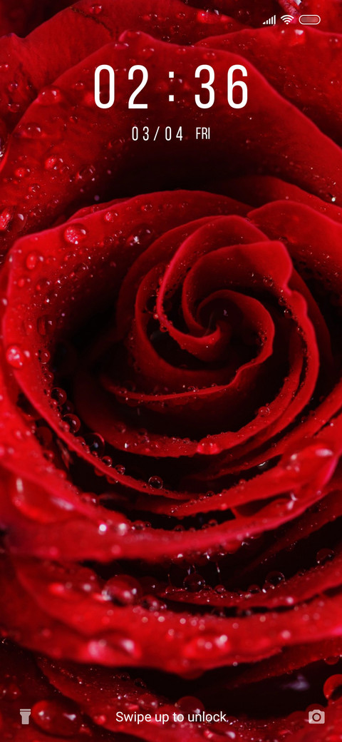 Rose_3MDS screenshot