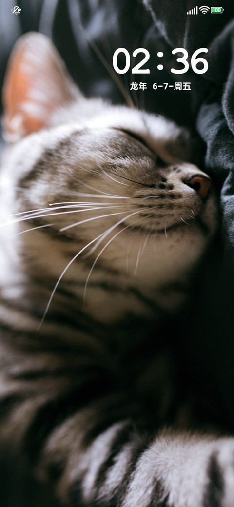 瞌睡猫 screenshot