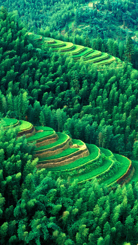 Top 10 Most Beautiful Terraces in China 6 screenshot