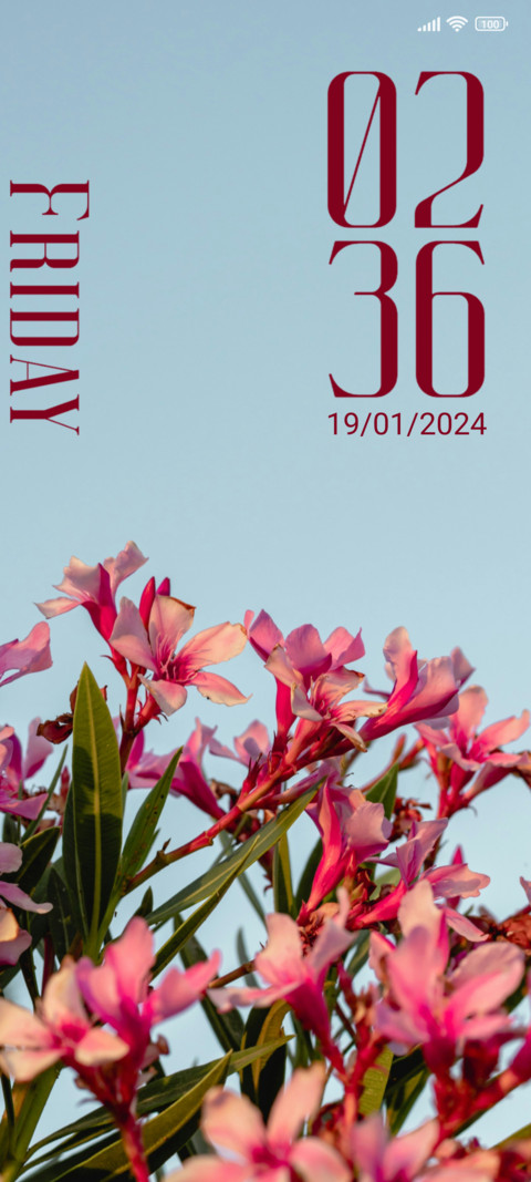 Floral Blue screenshot