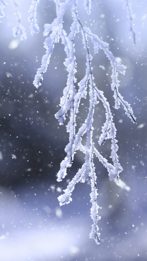 Is influenza a major cold screenshot