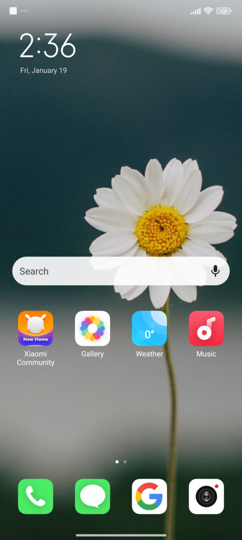Flowers Project screenshot