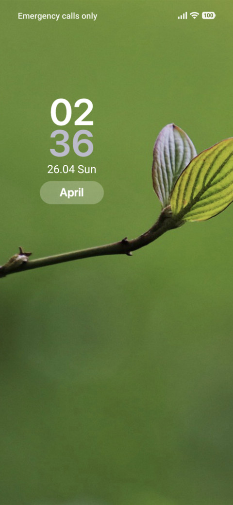 Leaf screenshot