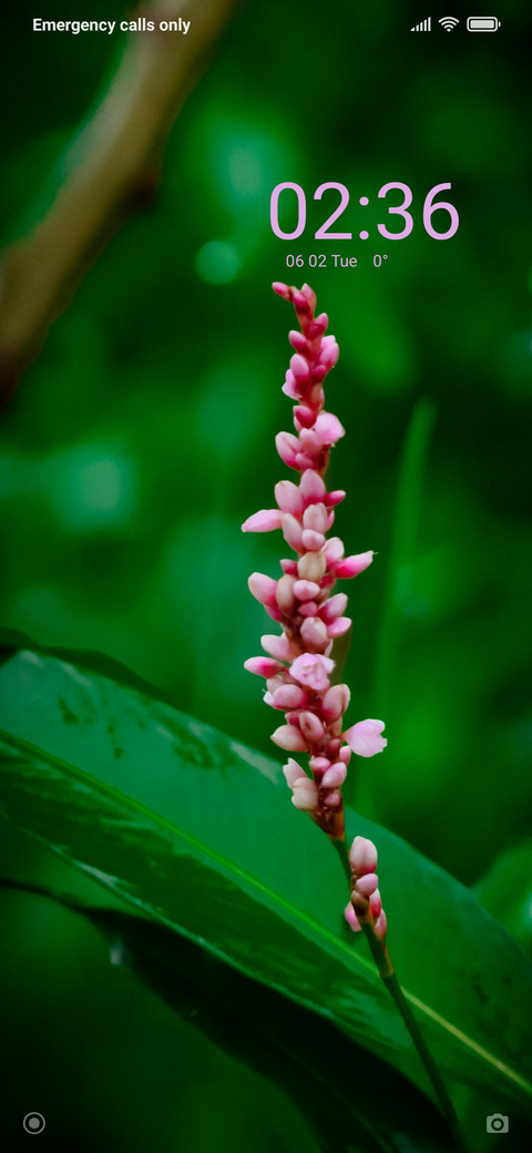 Blossom_DWM2 screenshot