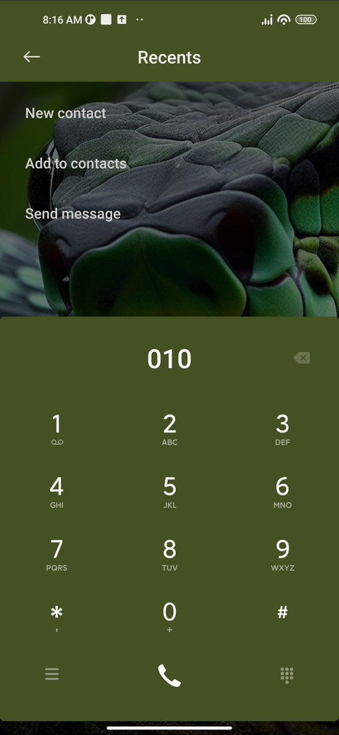 Reptile screenshot
