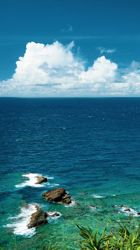 Reefs in the sea of okinawa screenshot