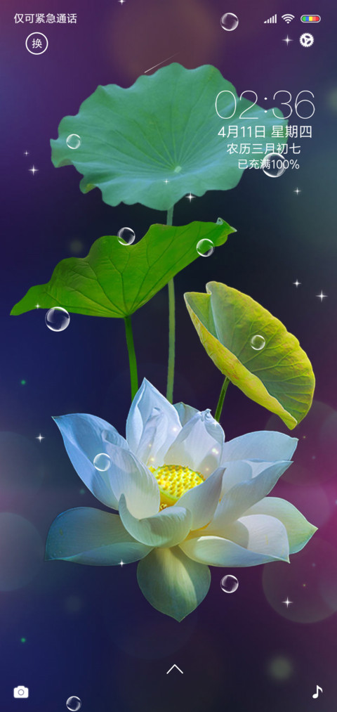 最美荷花 screenshot