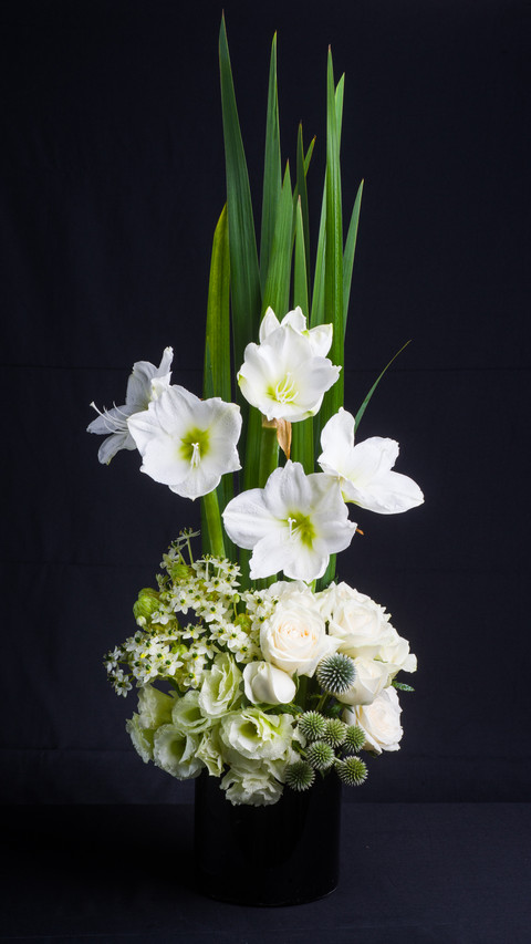 Can fish tank water grow flowers 5 screenshot