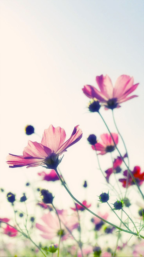 6 screenshot