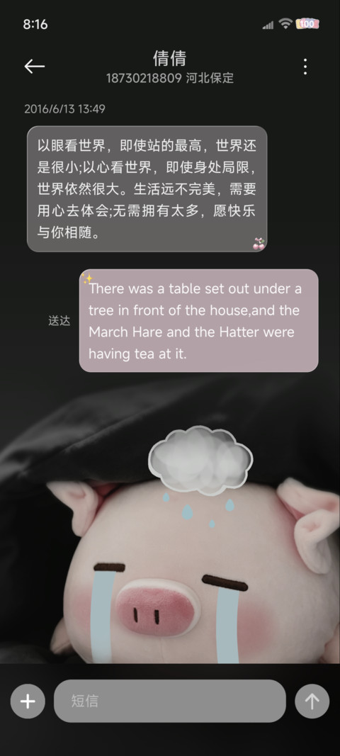ins氛围感软软小猪 screenshot