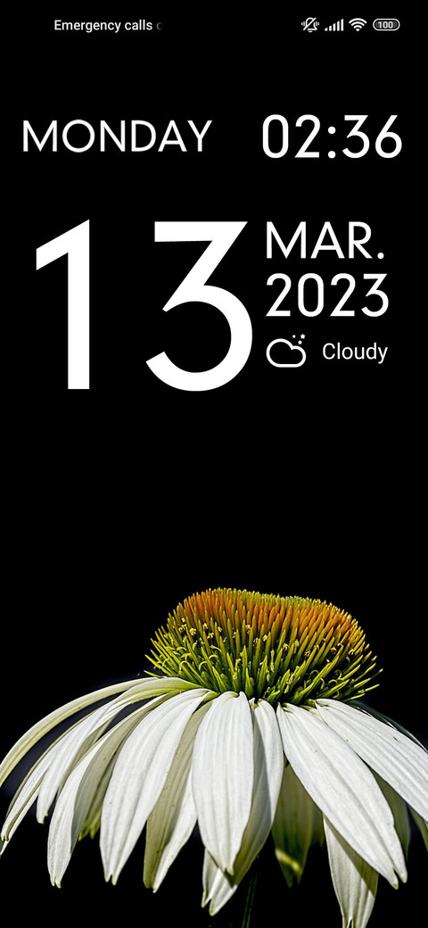 daisy white screenshot