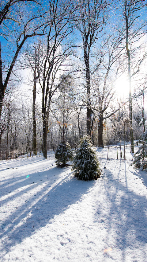Scenery and nature screenshot