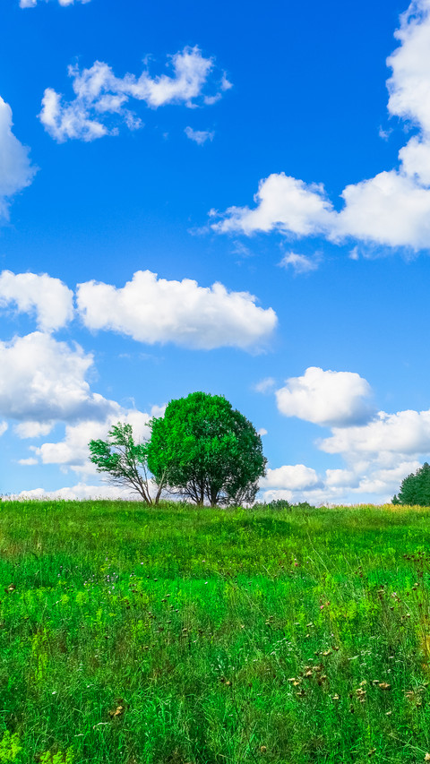 Green eye protection prairie wallpaper screenshot