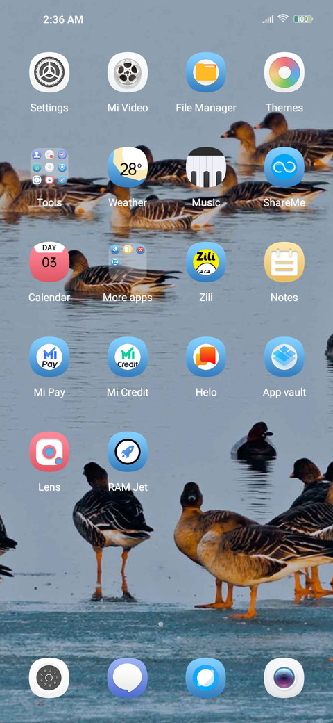bird watching screenshot