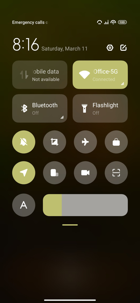 Birch screenshot