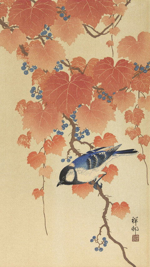 日本版画家小原古邨 screenshot