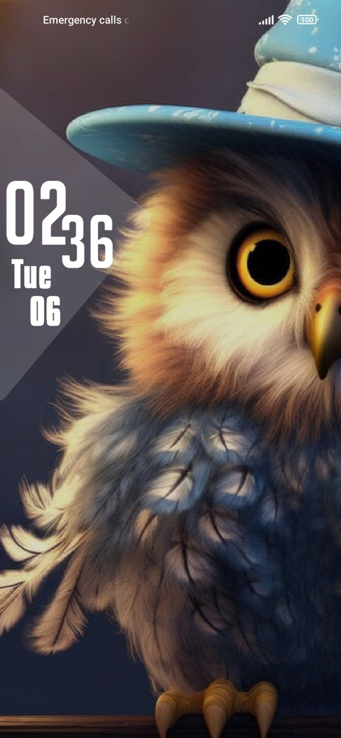 Owl screenshot