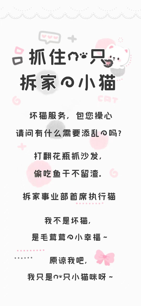 抓住一只拆家的小猫 screenshot