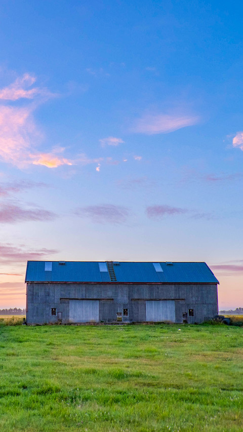 Morning sunrise on the farm screenshot