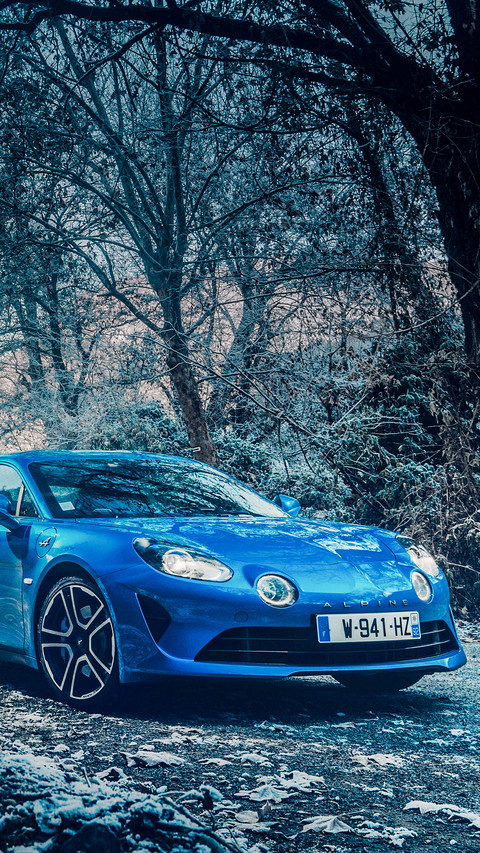 雷诺Alpine A110 screenshot