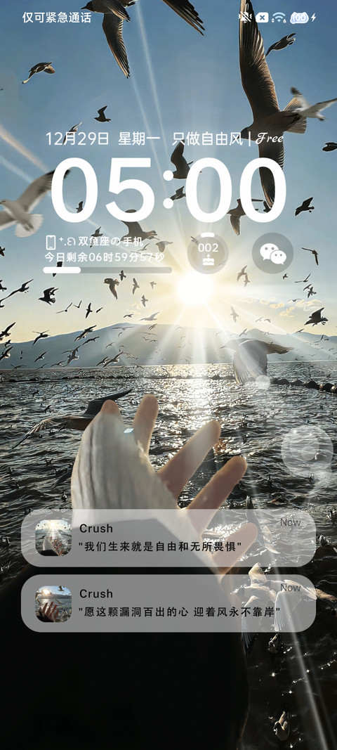 氛围 只做自由风 screenshot