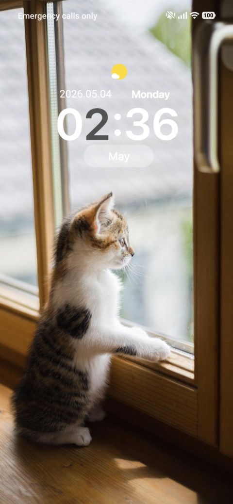 Cat-titude screenshot