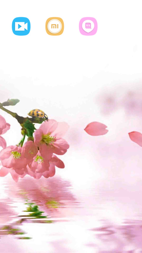 花开花谢 screenshot