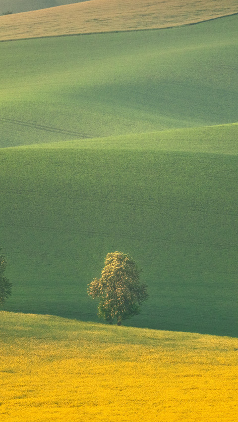 Green Fields Terraces in the Czech Republic's Moravia screenshot
