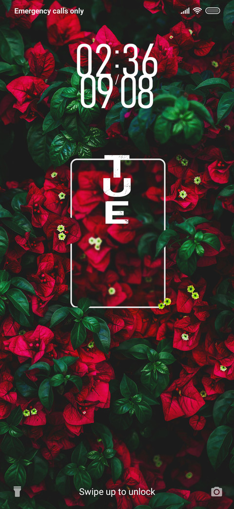 Flowers_DWM20 screenshot