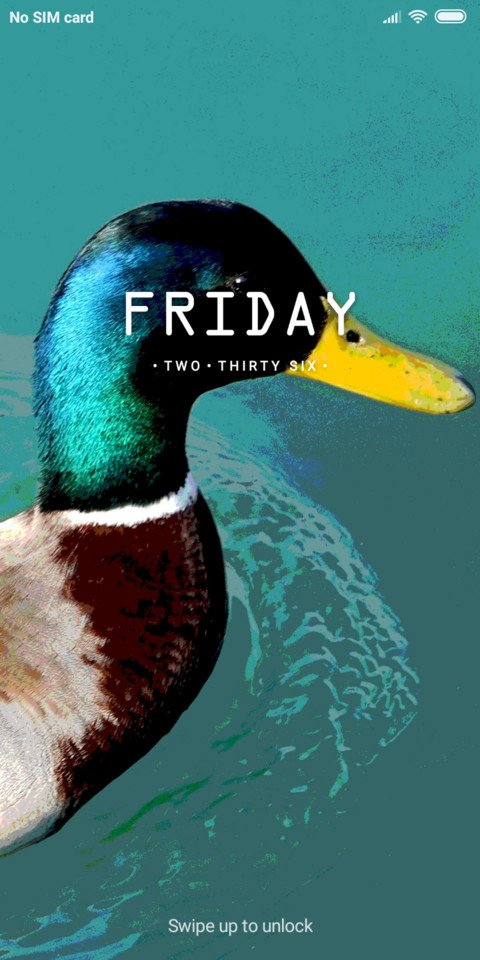 Duckk_DWM19 screenshot