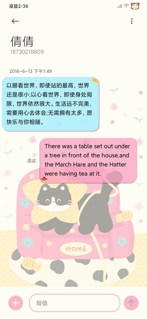 美式复古碎花猫猫 screenshot