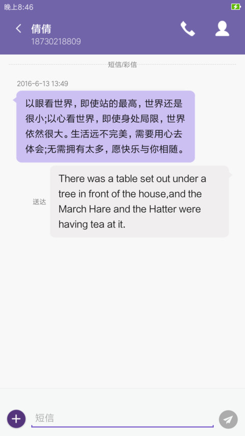 Zeny Purple screenshot