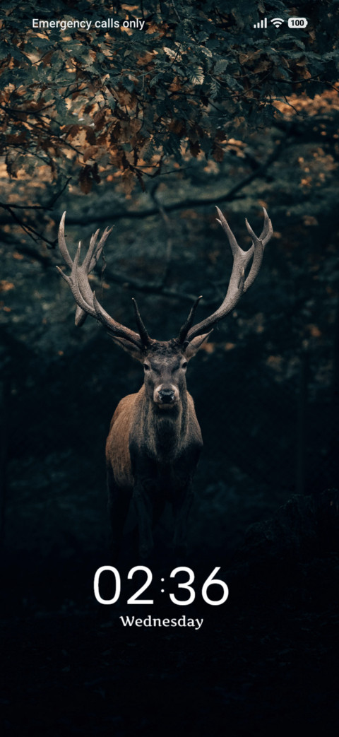 Black Mist screenshot