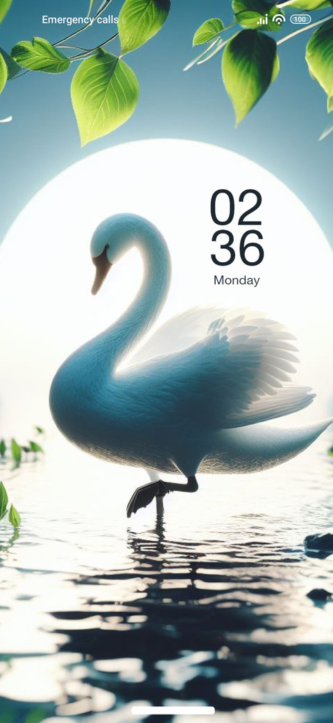 Beautiful Swan screenshot