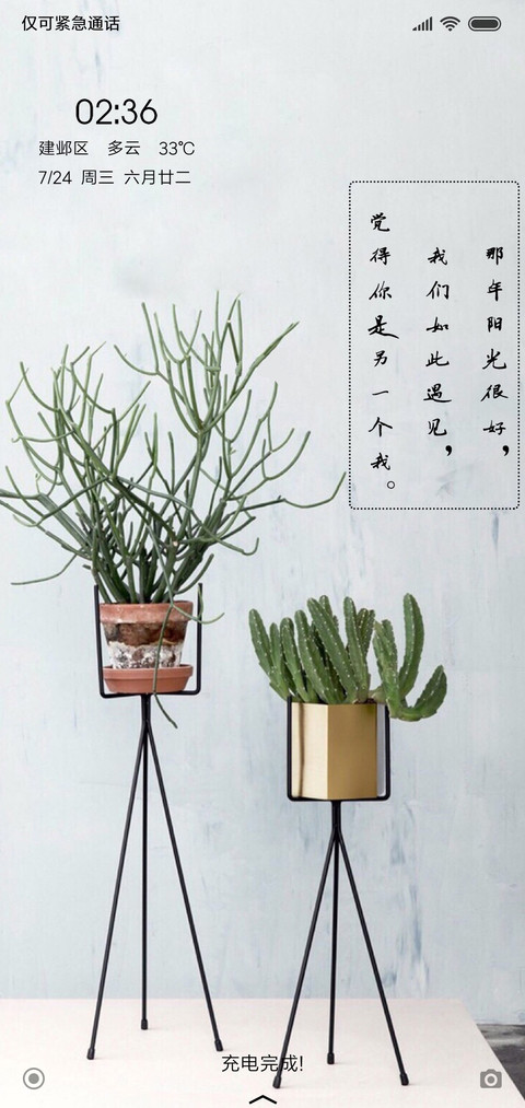 岁月静好 screenshot