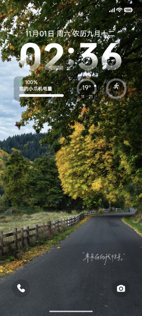简约秋意林间 screenshot