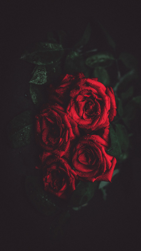Floral (9) screenshot