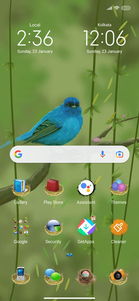 Bird's Nest screenshot