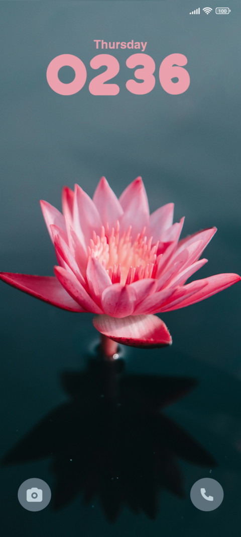 Pink Flower screenshot