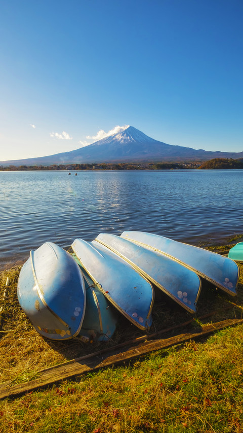 Fuji in autumn2 screenshot
