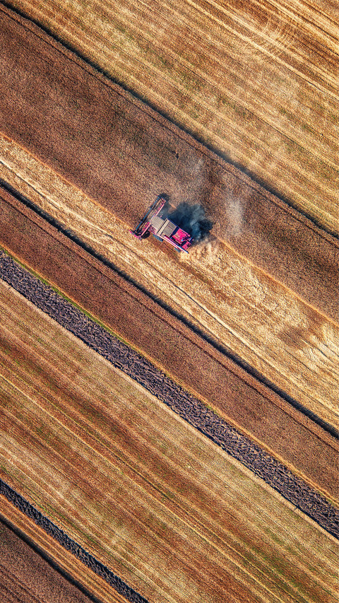 Beautiful view of the farmland screenshot