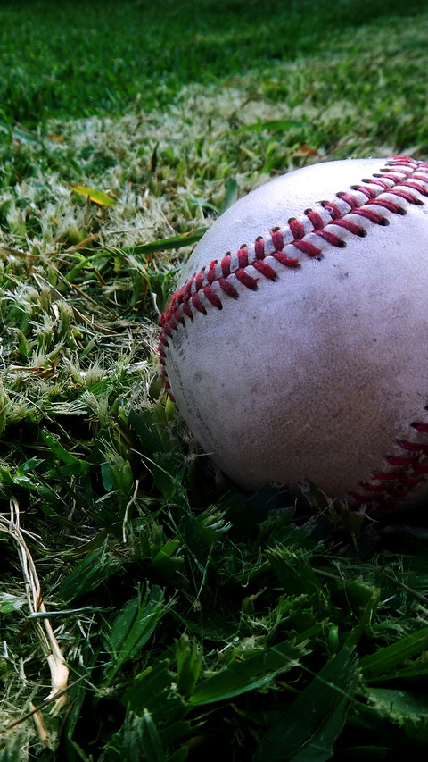 baseball (1) screenshot