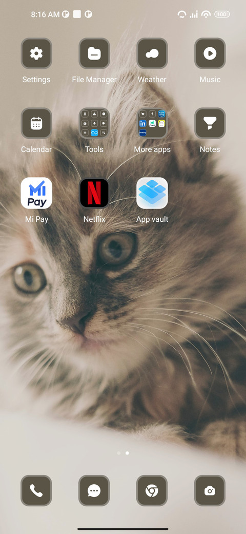 cat screenshot