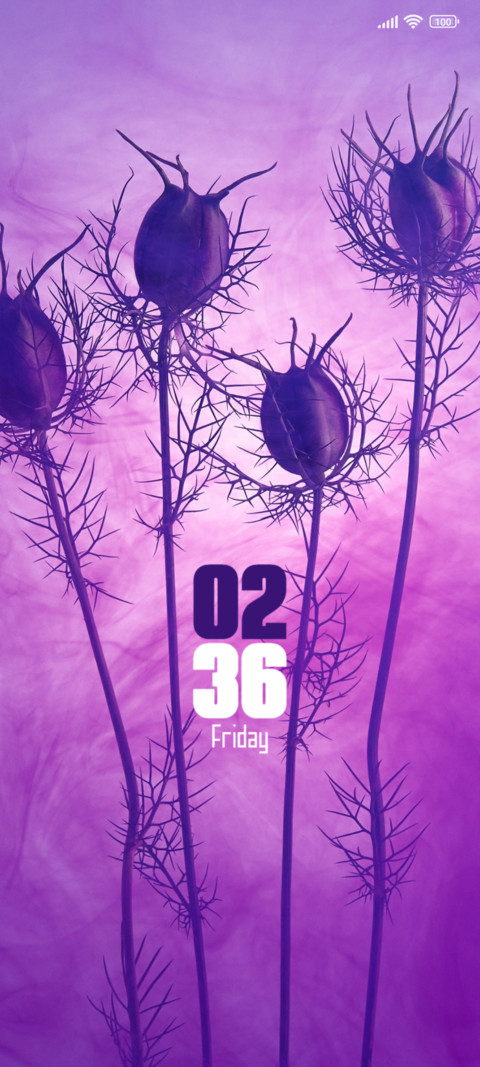 Thorny Flowers screenshot