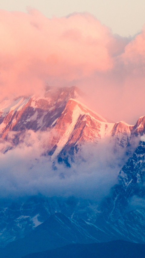 Nature screenshot