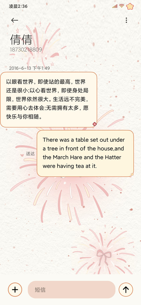 烟花蝴蝶结复古猫咪 screenshot