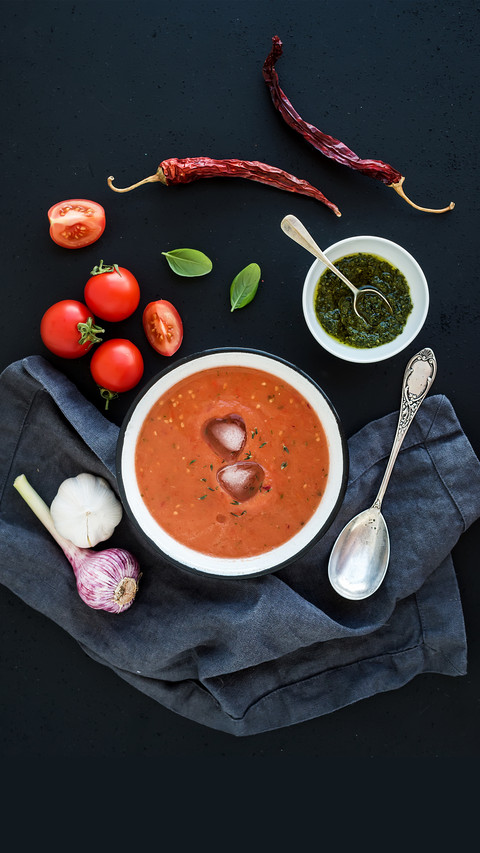 Spanish Cold Soup 05 screenshot