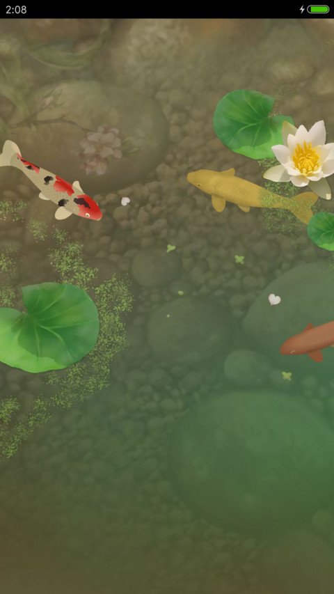 锦鲤之美 screenshot